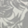 Silver Palm