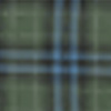 Soft Olive Plaid
